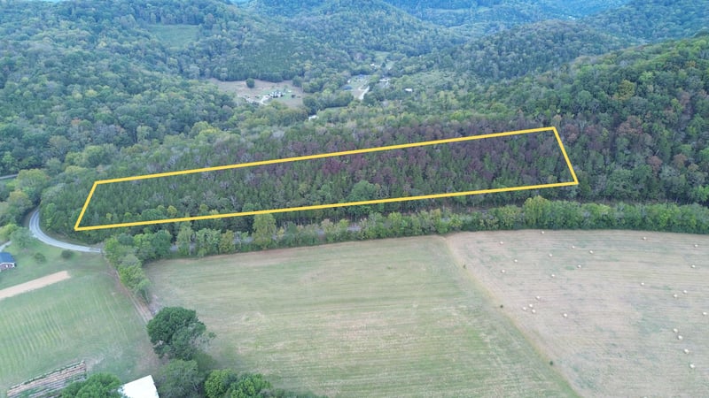 0 Club Springs Rd, Buffalo Valley, TN 38548