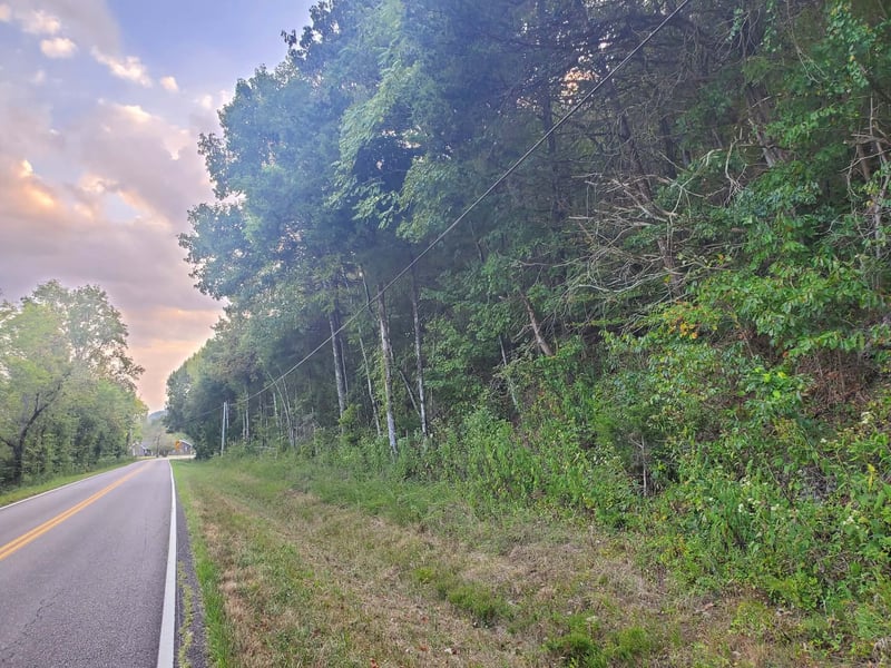 0 Club Springs Rd, Buffalo Valley, TN 38548