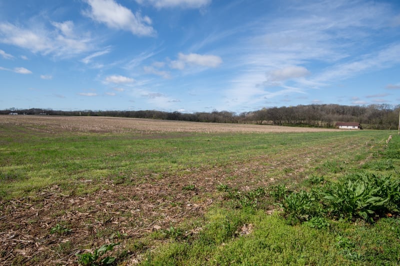 0 South Cross Bridges Rd, Mount Pleasant, TN 38474