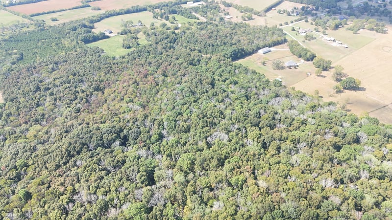 0 Walnut Grove Rd, Lebanon, TN 37090