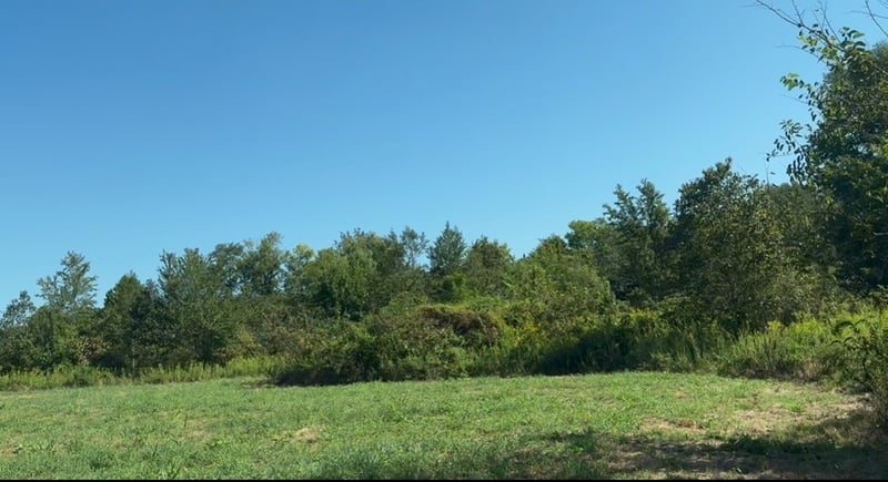 3941 Baggett Rd, Springfield, TN 37172