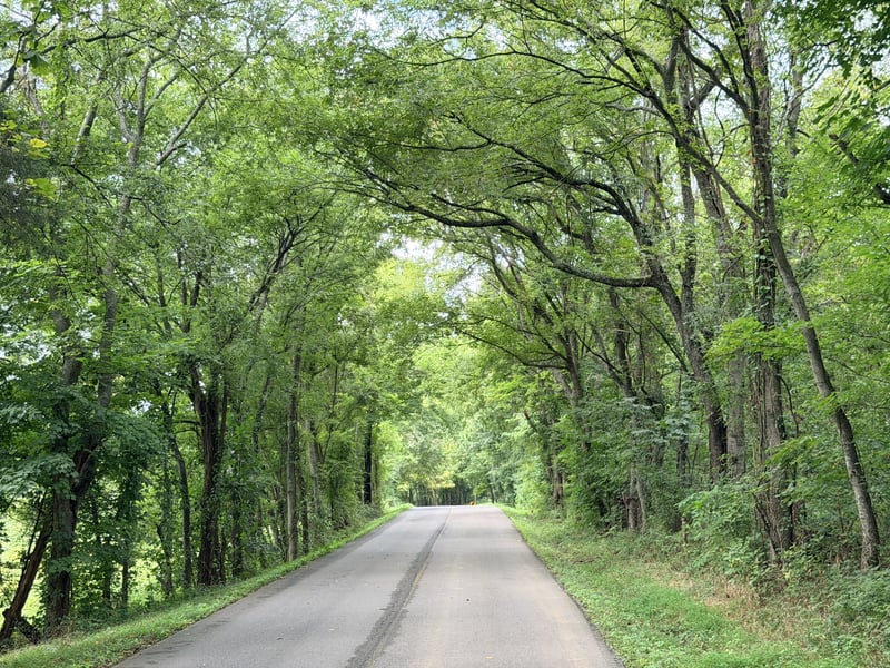 0 Greenvale Rd Lot 5, Watertown, TN 37184