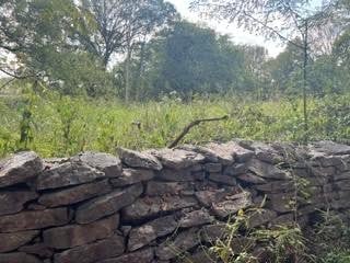 0 Ramsey Ln Lot 6, Lebanon, TN 37090