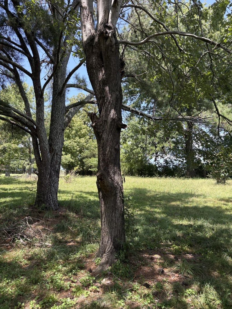 362 Neals Ln, Gallatin, TN 37066