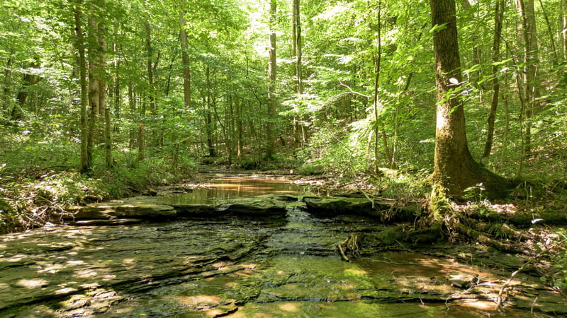 8218 Old Pond Creek Rd, Nashville, TN 37209
