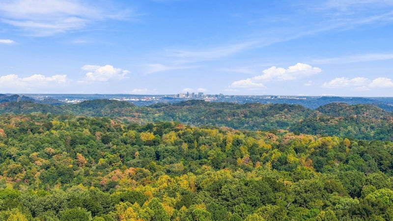 8218 Old Pond Creek Rd, Nashville, TN 37209