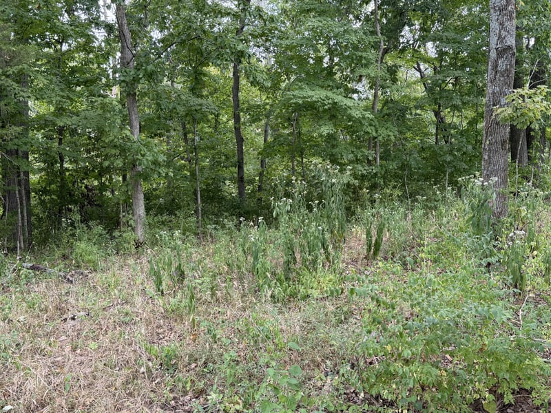 5018 Buena Vista Pike, Nashville, TN 37218