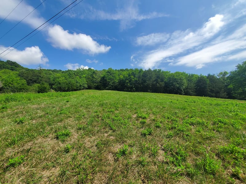 0 Preston Ln Lot 1, Elmwood, TN 38560