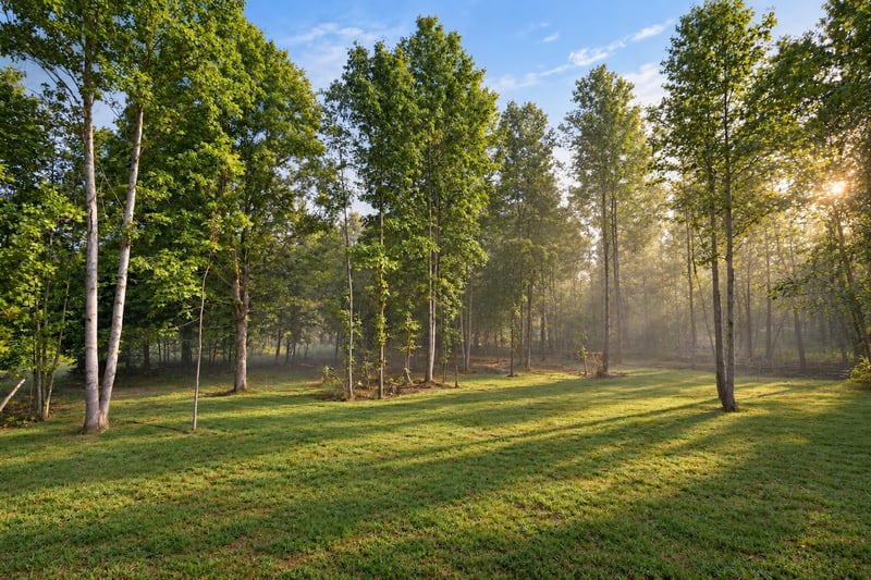 1063 Promise Land Rd, Charlotte, TN 37036