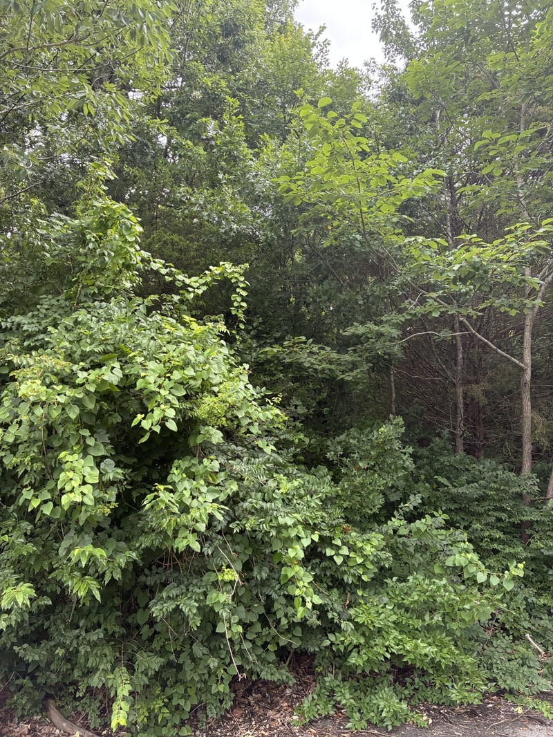 686 Putnam Dr Lot 2, Nashville, TN 37218