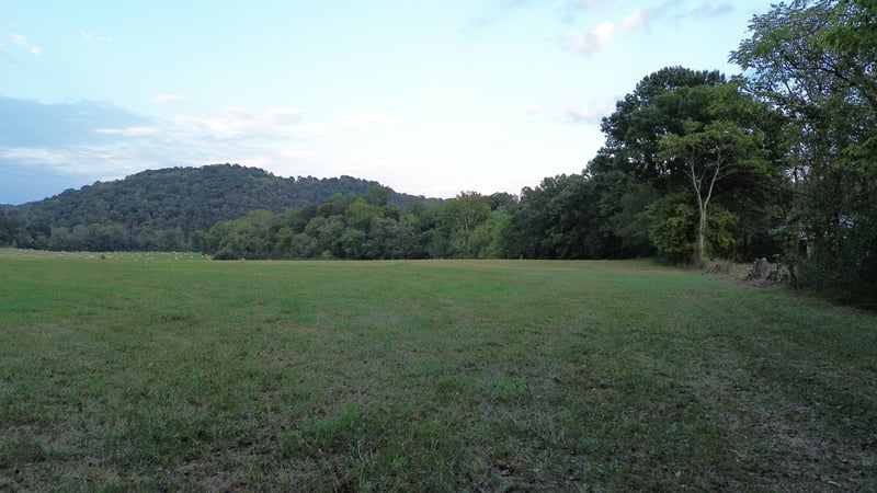 0 Club Springs Rd Lot 1-4, Buffalo Valley, TN 38548