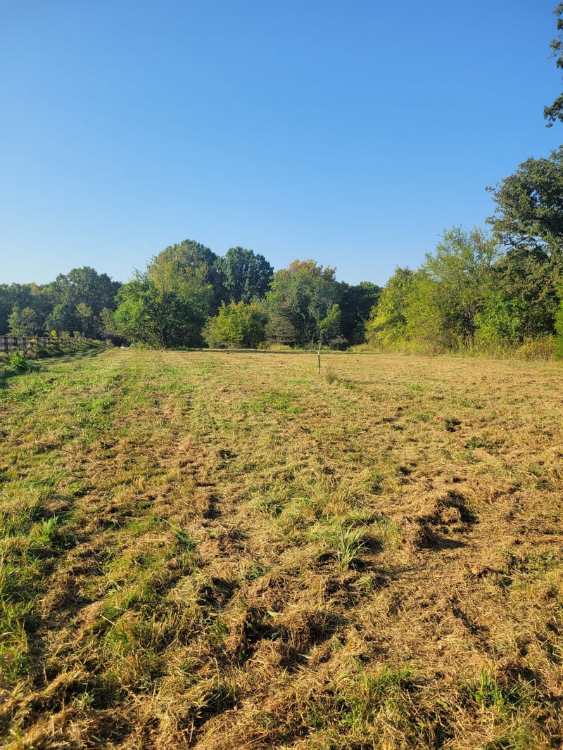 8 Double Branch Rd Lot 8, Columbia, TN 38401