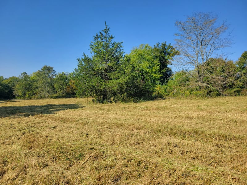8 Double Branch Rd Lot 8, Columbia, TN 38401