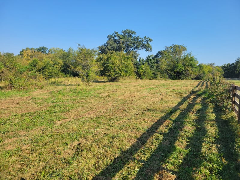 8 Double Branch Rd Lot 8, Columbia, TN 38401
