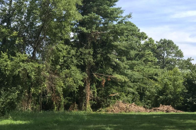 3900 Wilani Rd Lot 24, Knoxville, TN 37919
