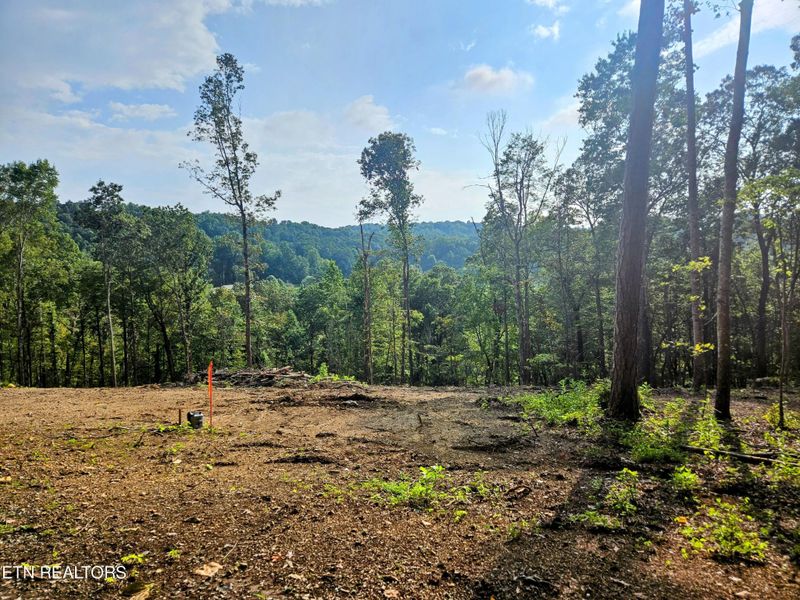 0 Brewer Ln Lot 4, Andersonville, TN 37705