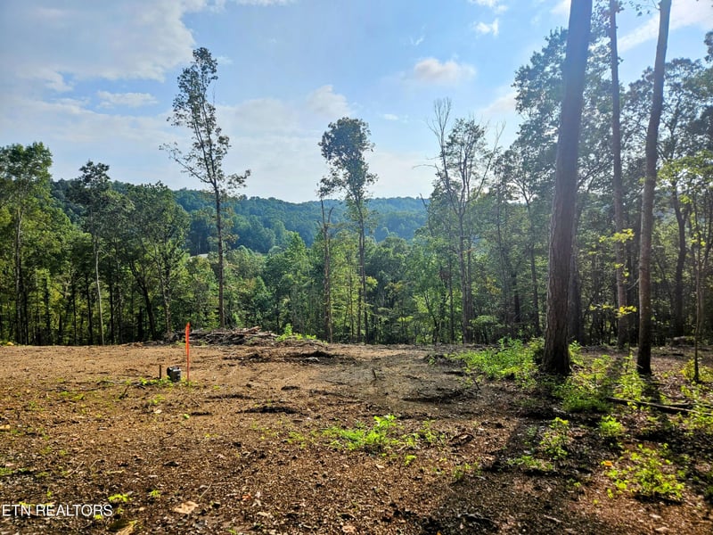 0 Brewer Ln Lot 1, Andersonville, TN 37705