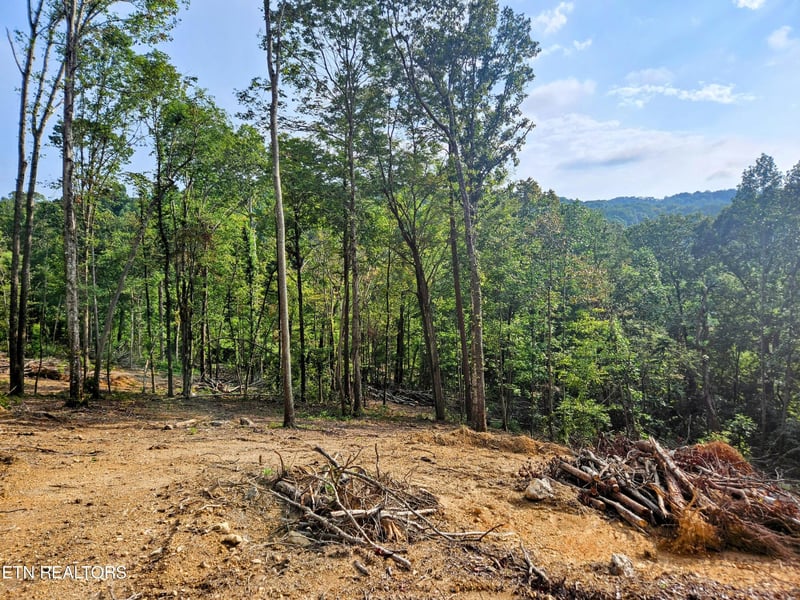 0 Brewer Ln Lot 1, Andersonville, TN 37705