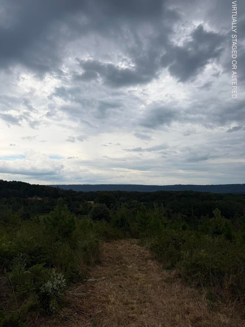 1 Bethel Rd Lot 1, Hammondville, AL 35989