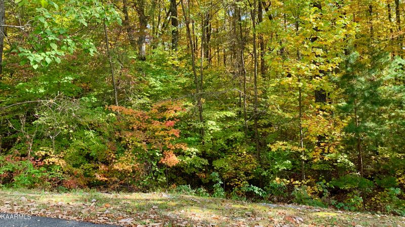 148 Settlers View Ln Lot 148E, Sevierville, TN 37862