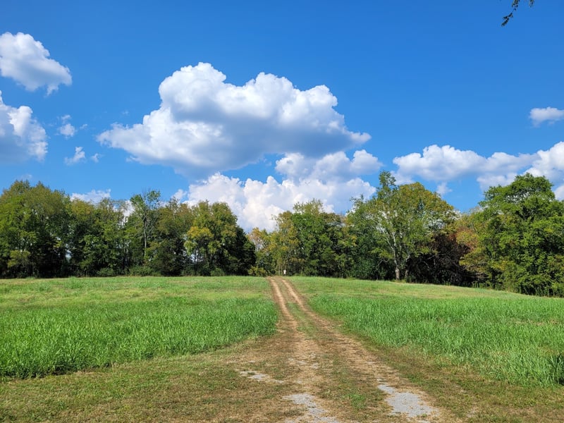 1289 Old Hopewell Rd, Castalian Springs, TN 37031