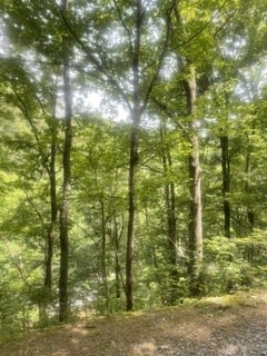 0 Meadow View Rd Lot 2, Sevierville, TN 37862