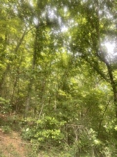 0 Meadow View Rd Lot 2, Sevierville, TN 37862