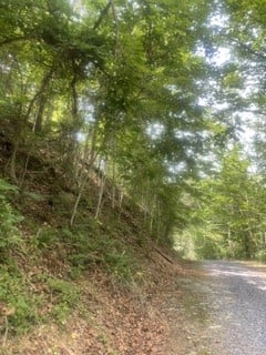0 Meadow View Rd Lot 2, Sevierville, TN 37862