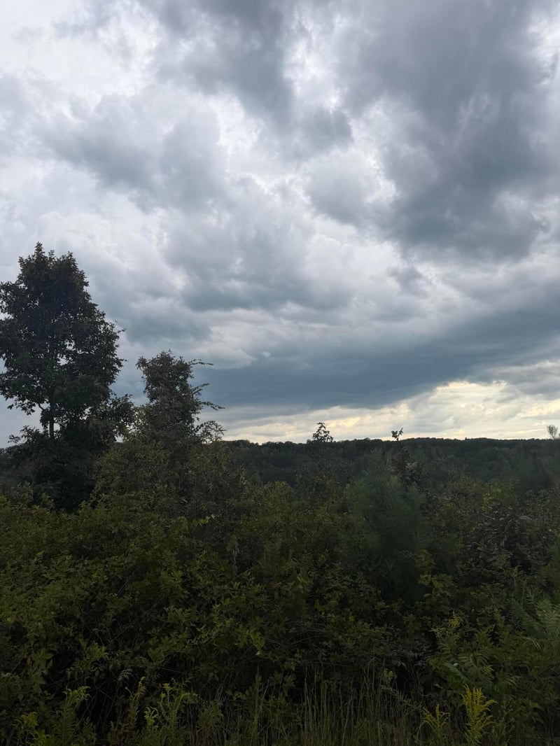 2 Bethel Rd Lot 2, Hammondville, AL 35989