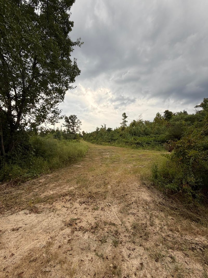 2 Bethel Rd Lot 2, Hammondville, AL 35989