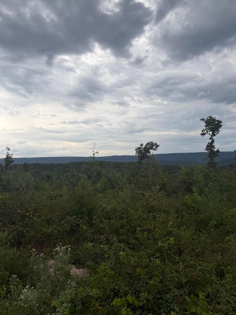 2 Bethel Rd Lot 2, Hammondville, AL 35989