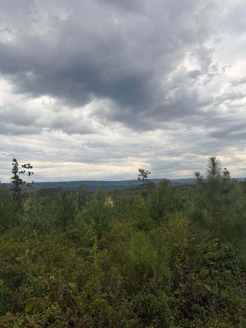 2 Bethel Rd Lot 2, Hammondville, AL 35989