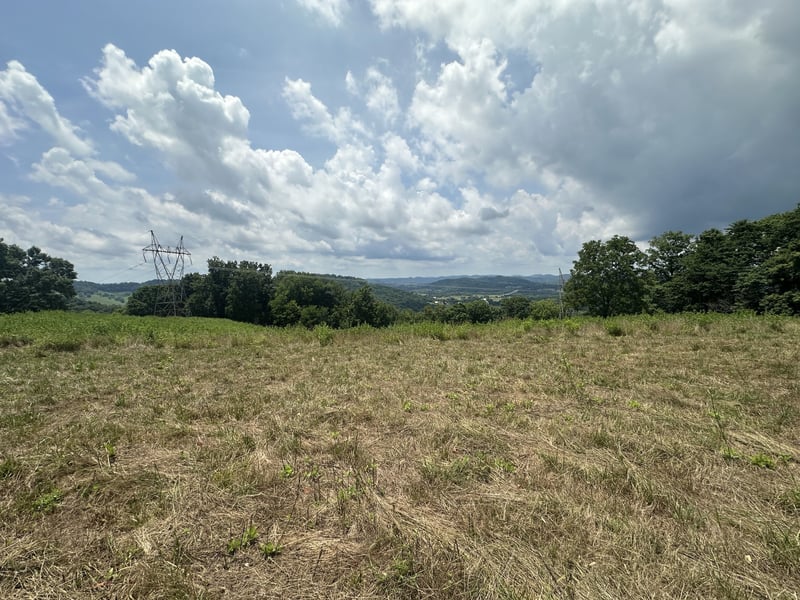 89 Conditt Hollow Rd, Elmwood, TN 38560