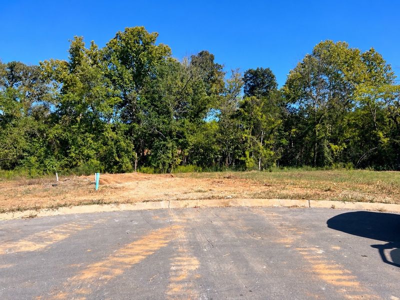 1139 Willow Springs Dr Lot 22, Lebanon, TN 37087