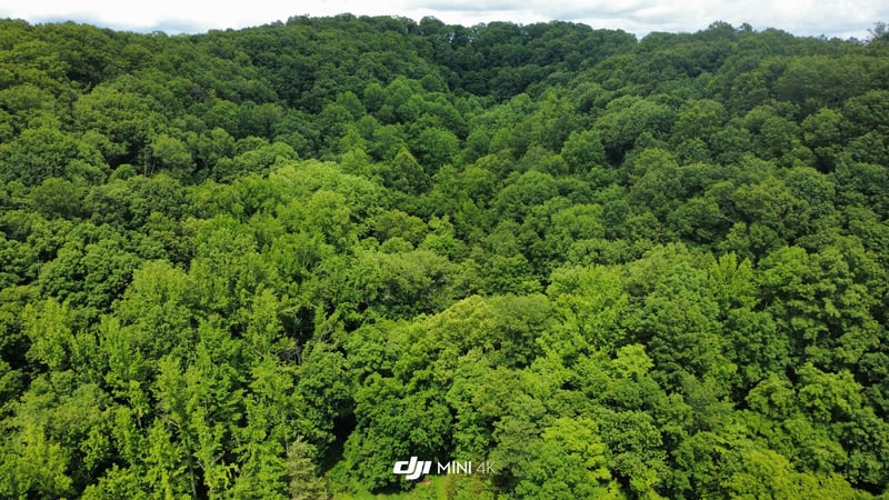 4998 Tranham Rd, Whites Creek, TN 37189