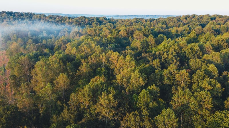 0 Rock Springs Rd, Cumberland Furnace, TN 37051