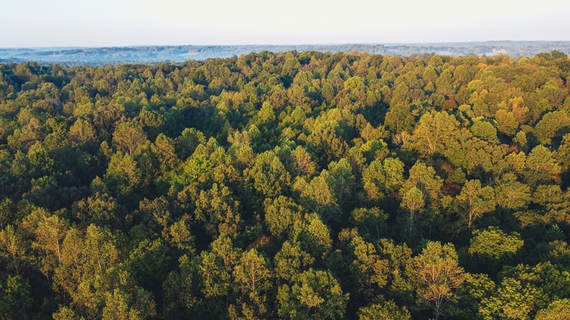 0 Rock Springs Rd, Cumberland Furnace, TN 37051