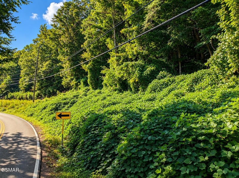 12 Pittman Center Rd Lot 1&2, Sevierville, TN 37876