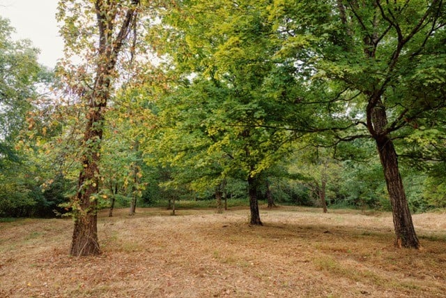 0 Lula Ln Lot 1, Franklin, TN 37064