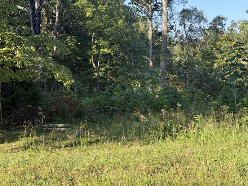 1190 Bell Hollow Rd, Vanleer, TN 37181