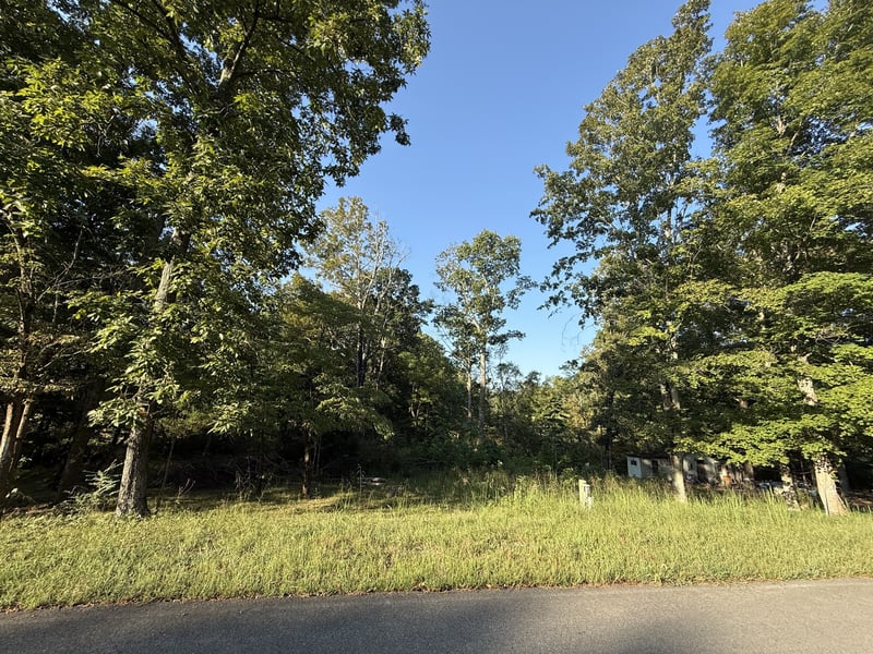 1190 Bell Hollow Rd, Vanleer, TN 37181