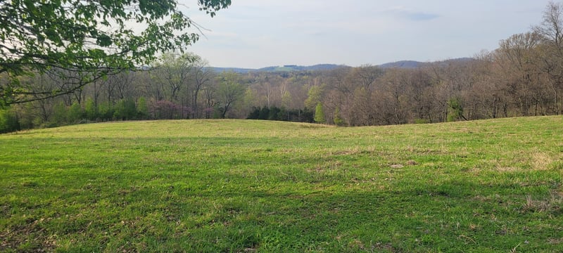 1 Haley Rd Lot 1, College Grove, TN 37046
