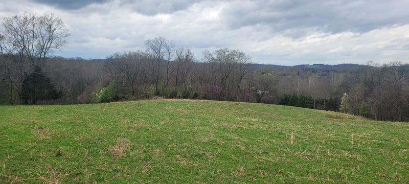 1 Haley Rd Lot 1, College Grove, TN 37046
