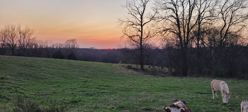 1 Haley Rd Lot 1, College Grove, TN 37046