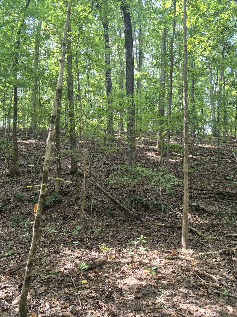 1318 Turkey Creek Rd, Dickson, TN 37055
