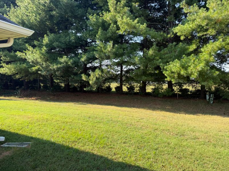 1732 Keeneland Ct, Murfreesboro, TN 37127