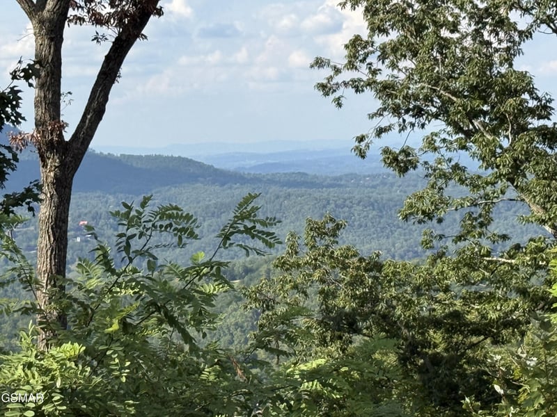 1995 Spurling Rd, Sevierville, TN 37862