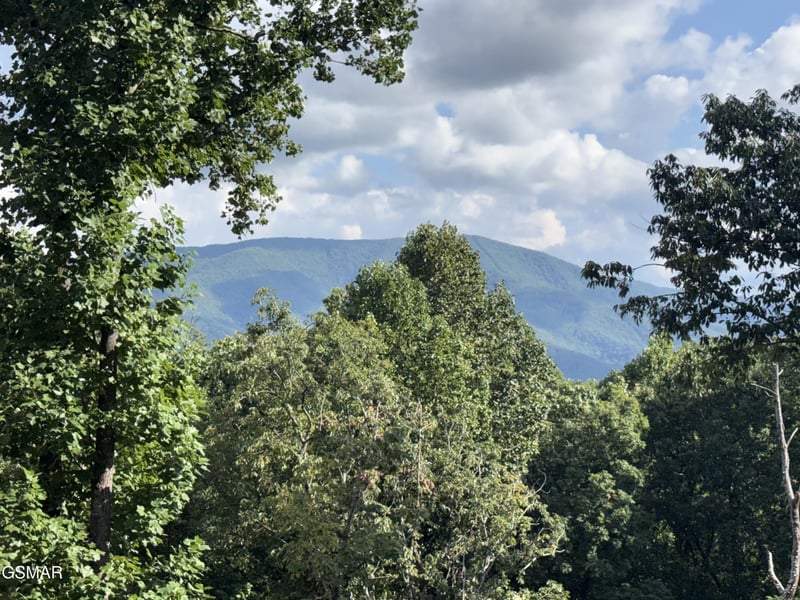 1995 Spurling Rd, Sevierville, TN 37862