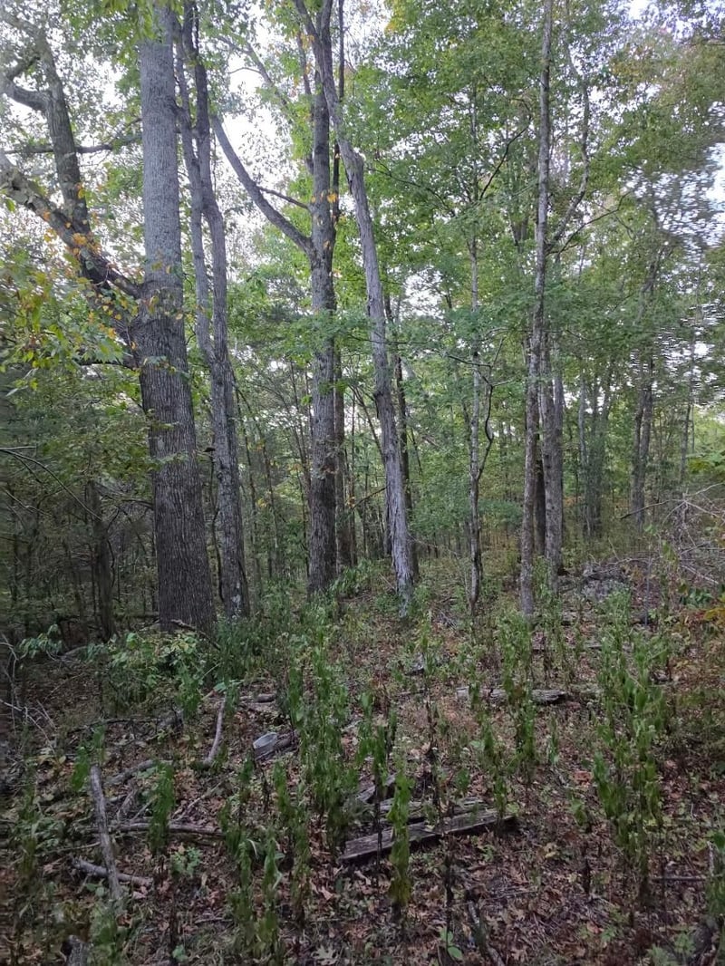 0 Greenfield Estates Dr, Culleoka, TN 38451