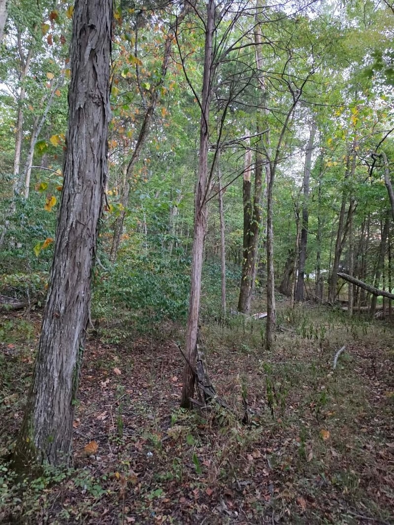 0 Greenfield Estates Dr, Culleoka, TN 38451